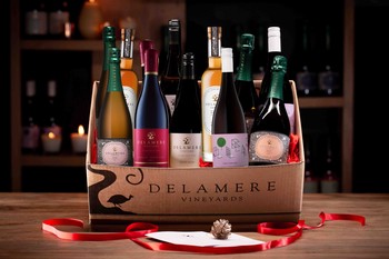 EXPRESSIONS OF PINOT DOZEN