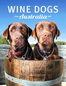 Wine Dogs 4
