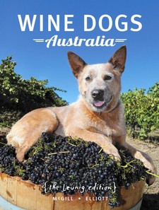 Wine Dogs 5