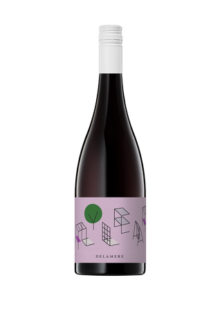 2024 Flyleaf Pinot Noir