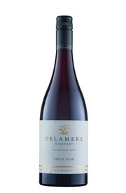 2019 Delamere Pinot Noir