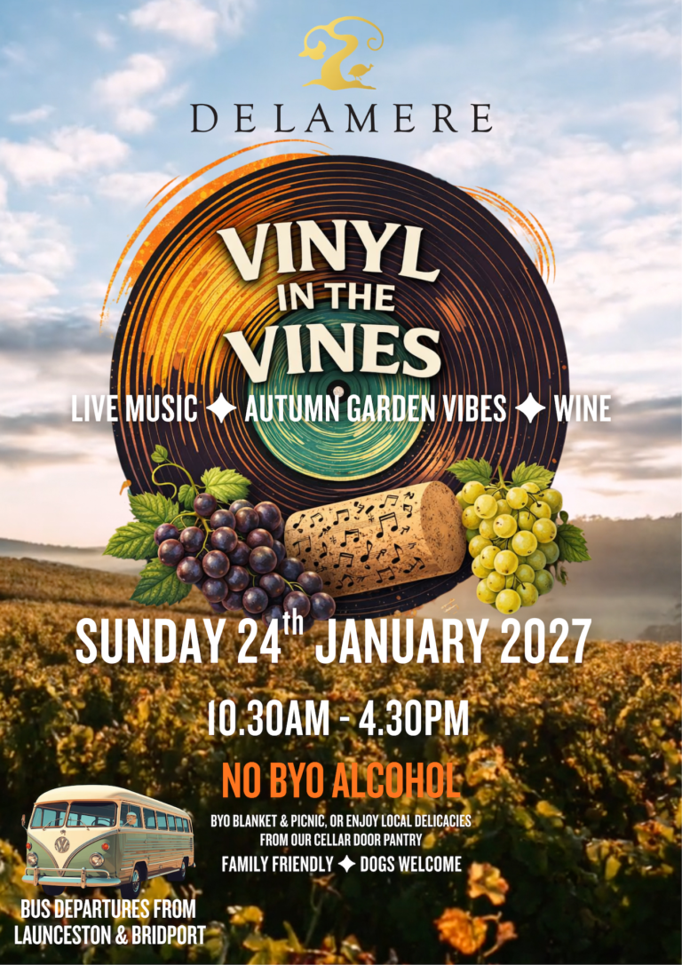 Vinyl in The Vines